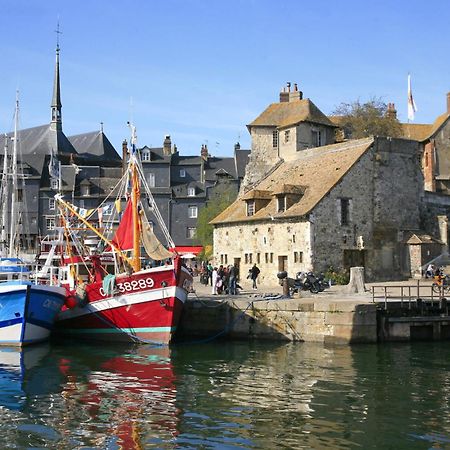 Studio Meuble Jacynthe Proche Le Havre - Etretat - Honfleur Saint-Romain-de-Colbosc Екстер'єр фото